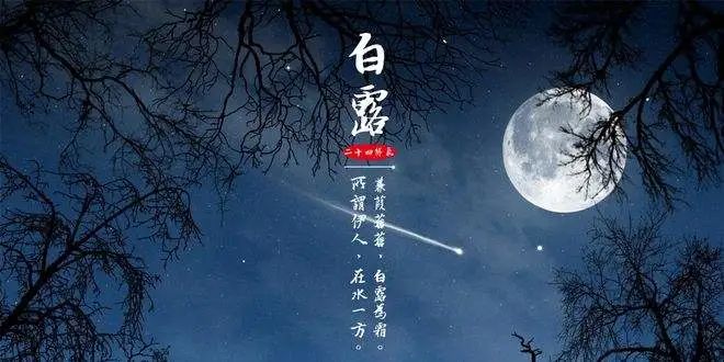 门窗十大品牌